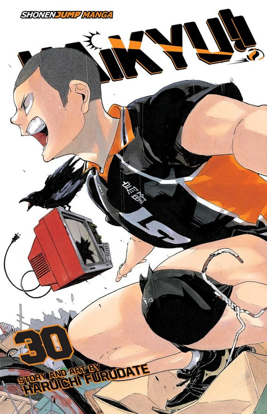 Haikyu!! Vol. 30