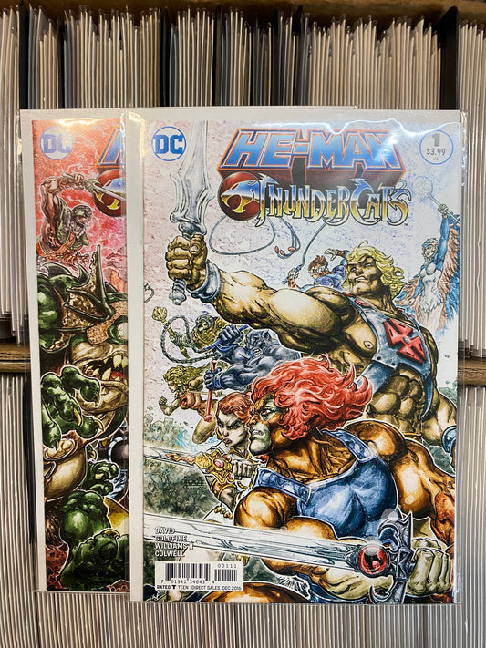 HE-MAN THUNDERCATS #1 CONNECTING COVER SET HEROES & VILLIANS