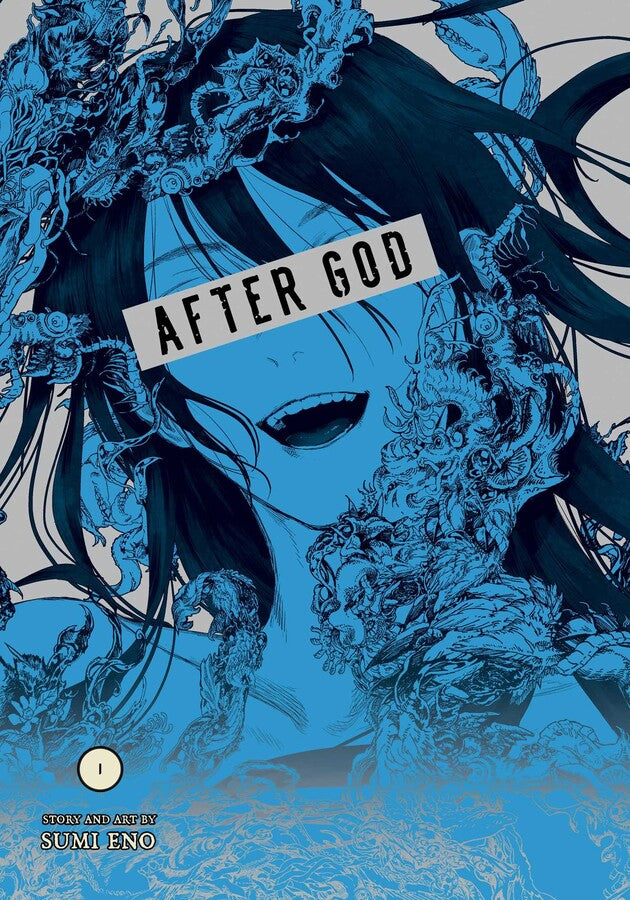 After God, Vol. 1 By Sumi Eno