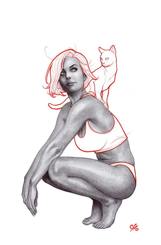 CATWOMAN #71 CVR B FRANK CHO CARD STOCK VAR - PREORDER