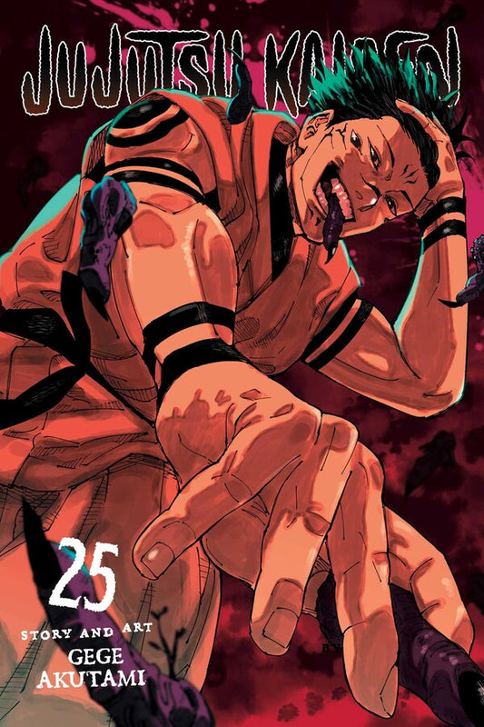 Jujutsu Kaisen, Vol. 25 - Preorder