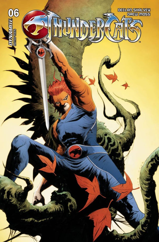 THUNDERCATS #6 CVR D JAE LEE VAR - PRESALE DUE 17/7/24