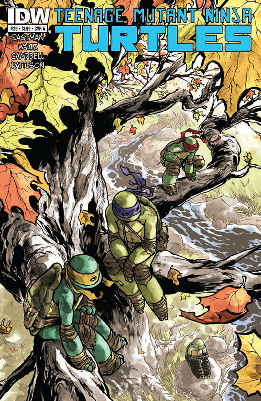 Teenage Mutant Ninja Turtles #29