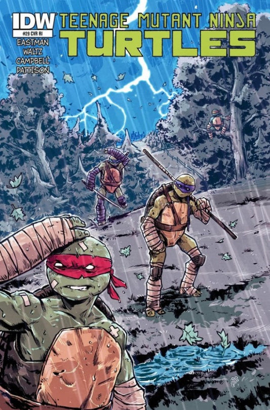 Teenage Mutant Ninja Turtles #29 1:10 Michael Dialynas Variant