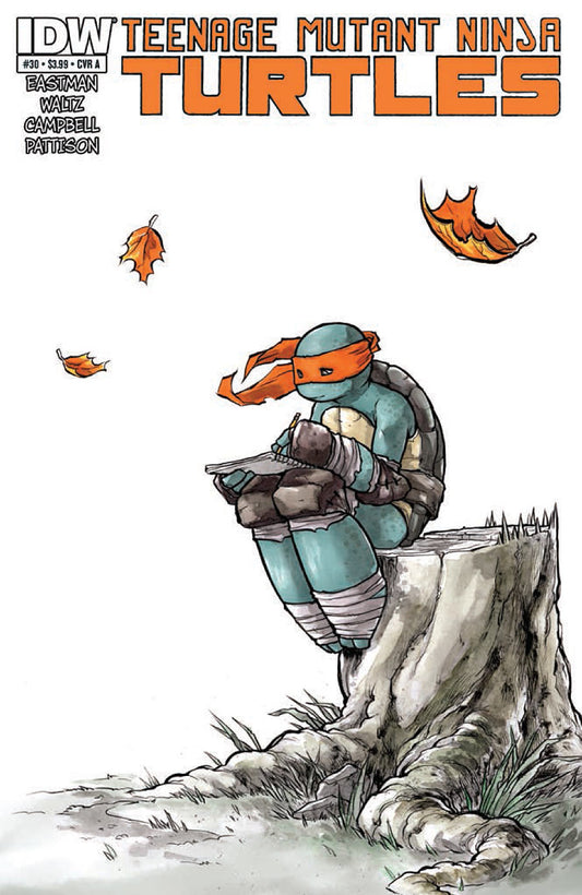 Teenage Mutant Ninja Turtles #30