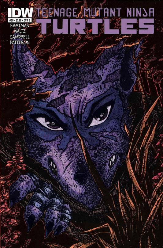 Teenage Mutant Ninja Turtles #30 Cover B Kevin Eastman Variant