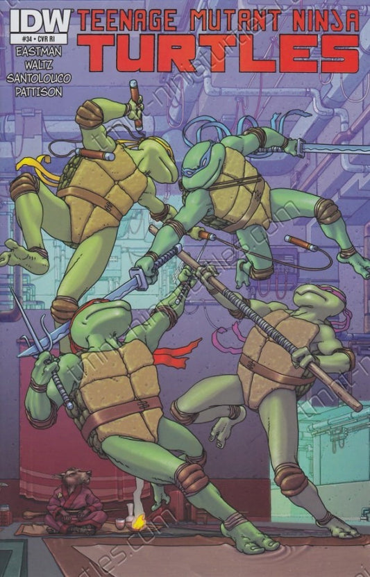 Teenage Mutant Ninja Turtles #34 1:10 Xurxo Penalta Variant