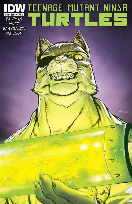 Teenage Mutant Ninja Turtles #38