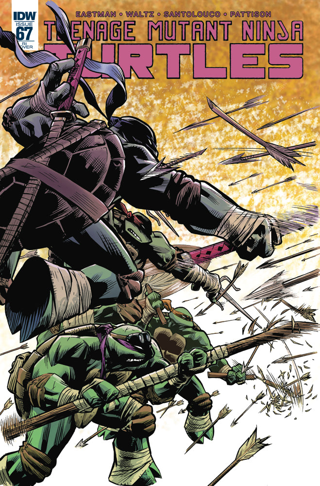 Teenage Mutant Ninja Turtles #67 1:10 Karl Moline Variant